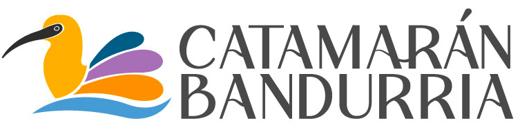 Catamarán Bandurria
